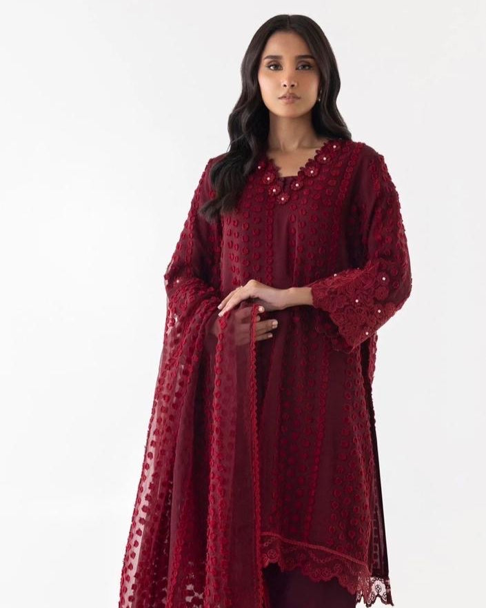 Sana Safinaz organza outfit is stitched to perfection